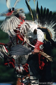 Shinnecock Dancer